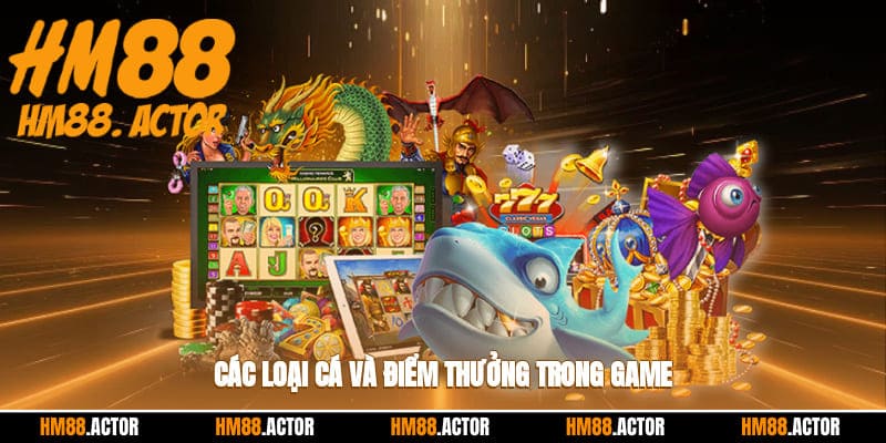 Các loại cá và điểm thưởng trong game