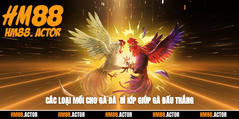 🐓 Các Loại Mồi Cho Gà Đá - Bí Kíp Giúp Chiến Thắng