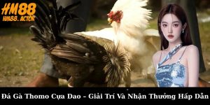 🐓 Đá Gà Thomo Cựa Dao – Giải Trí Và Nhận Thưởng Hấp Dẫn