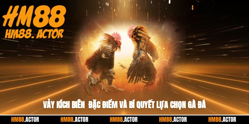 🐓 Vảy Kích Biên - Đặc Điểm Và Bí Quyết Lựa Chọn Gà Đá